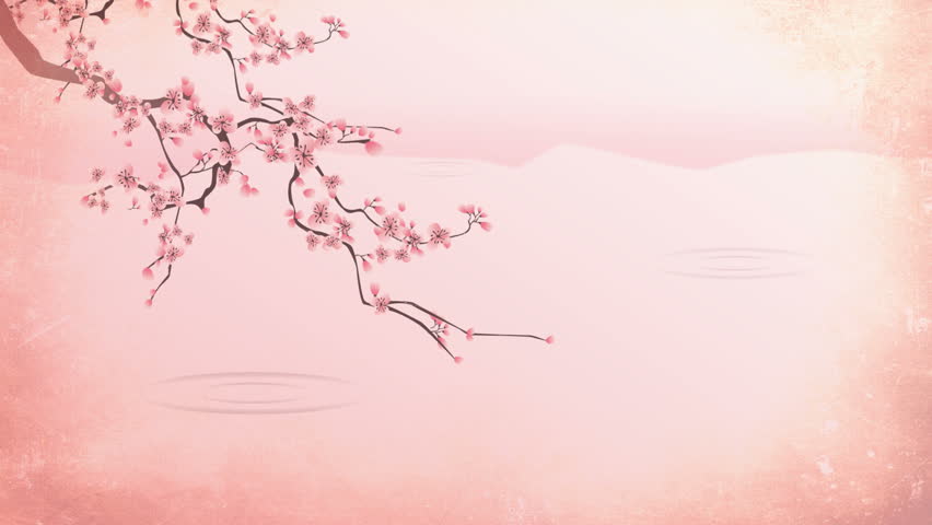 The Flower Petals Animated Stock Footage Video 23288101 | Shutterstock