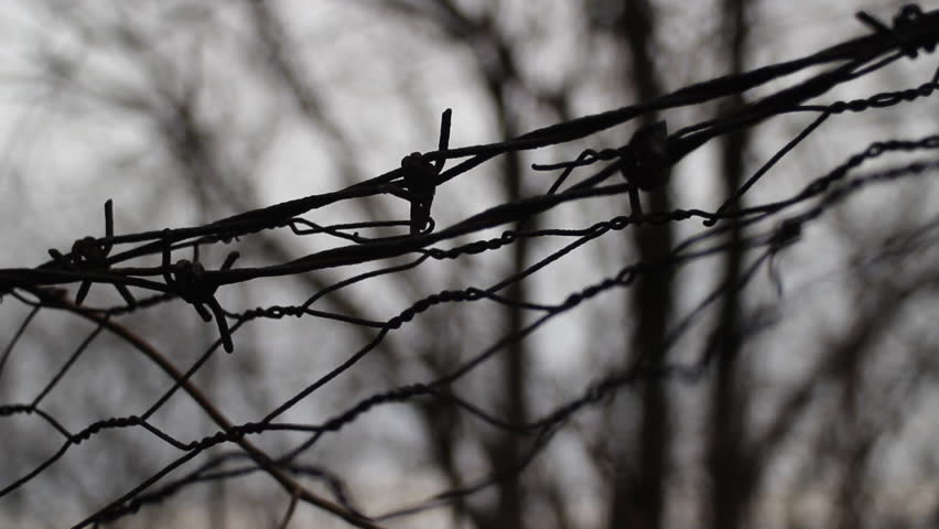 Stock video of scary wire. blurry background. | 6036365 | Shutterstock