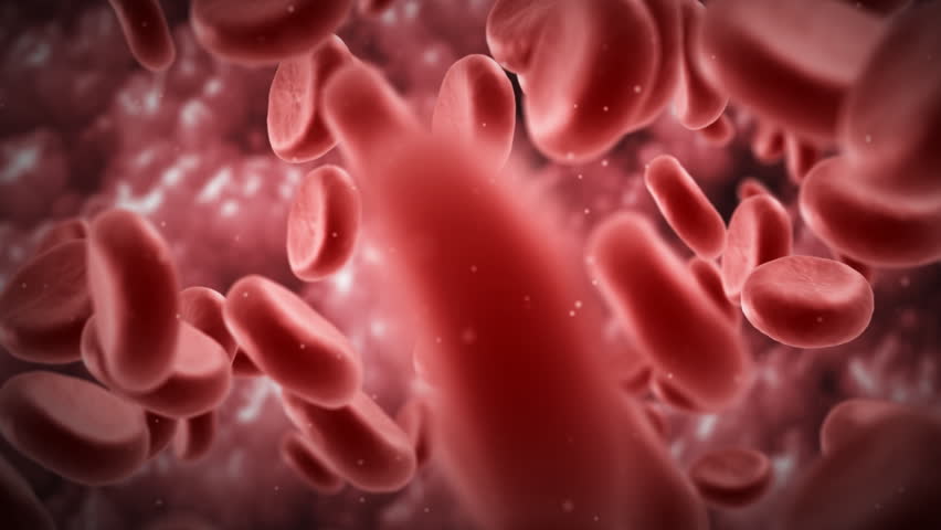 3D Dynamic Cells Multiplying. Depth Of Field. Stock Footage Video ...