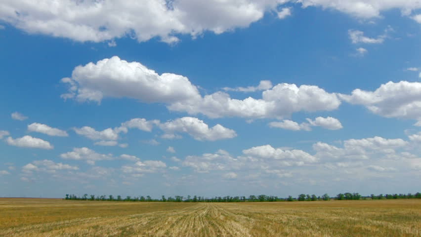 HD Panorama Of Wheatfield After Harvest And Blue Sky With White Clouds ...