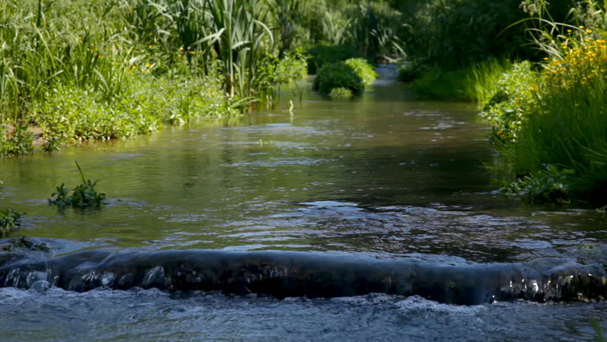 Clean Fresh Water River With Visible Rocky Riverbed After Flood And ...