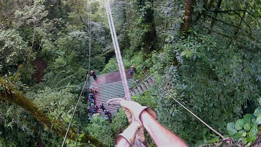 Pov Of A Person Tarzan Stock Footage Video 100 Royalty Free 7036015 Shutterstock