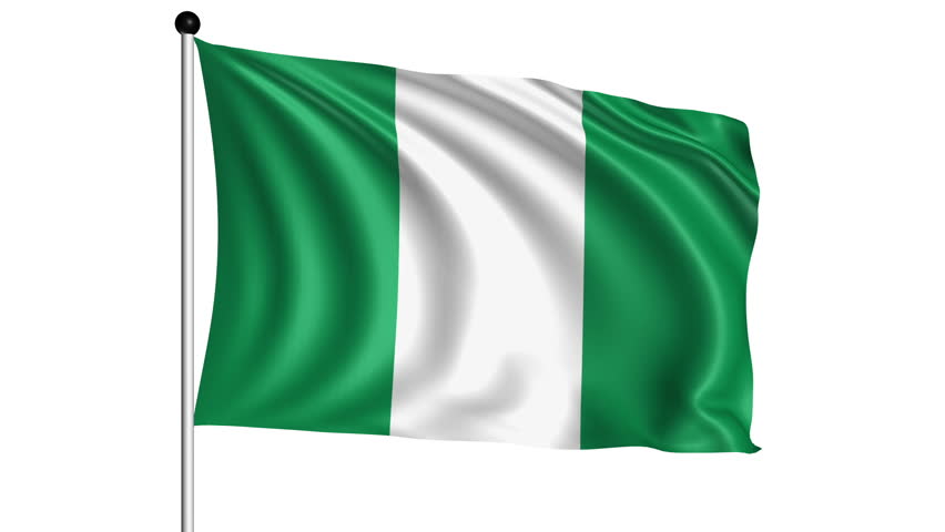 Image result for nigeria flag