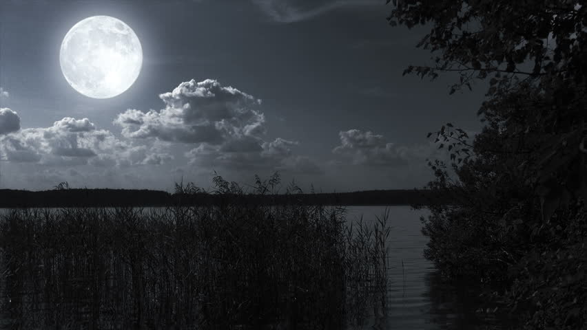 Night Full Moon Landscape. Stock Footage Video 4402835 | Shutterstock