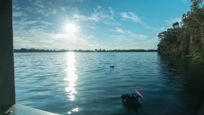 Header of monger