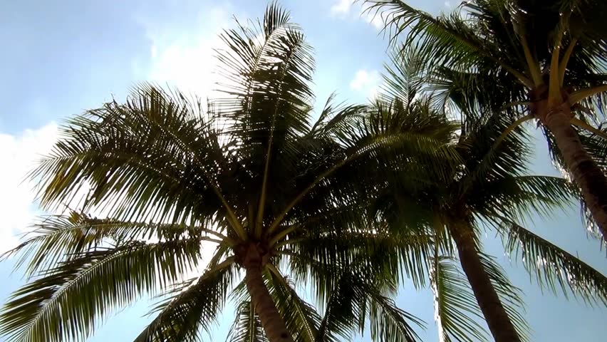 Watch Into The Sun Streaming