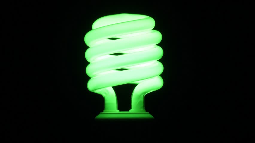 fluorescent black light bulbs