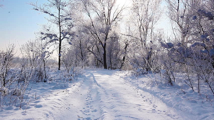 Time Lapse Of Snowy Scene In A Forest With Sun Setting And Shining ...