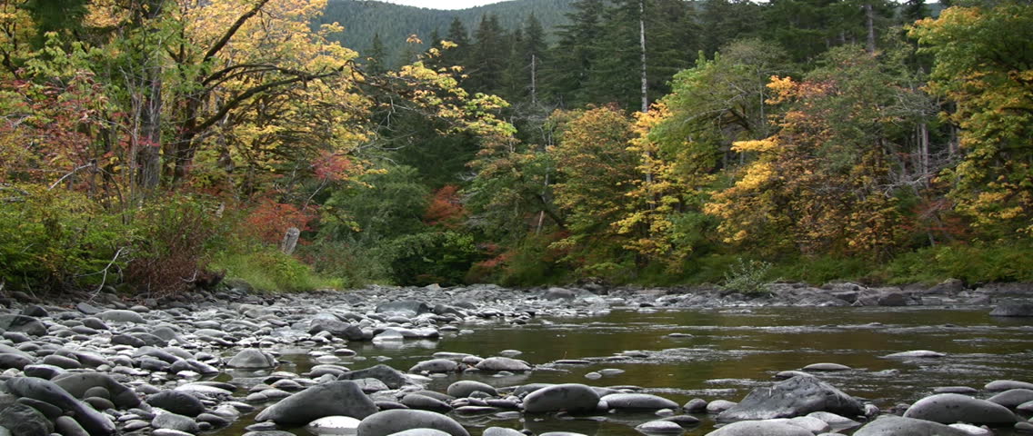 Unduh 470 Background Hd River Gratis