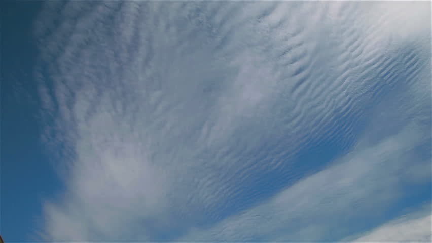 Header of ripply