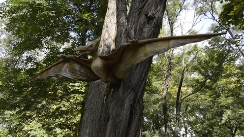 Pterodactyl Stock Video Footage - 4K and HD Video Clips | Shutterstock