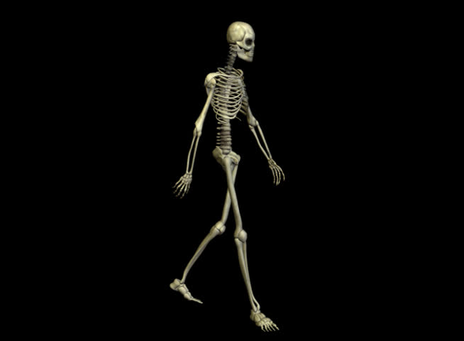 Skeleton Sneaking Stock Footage Video 872671 | Shutterstock