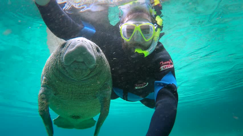 Image result for snorkeling couple