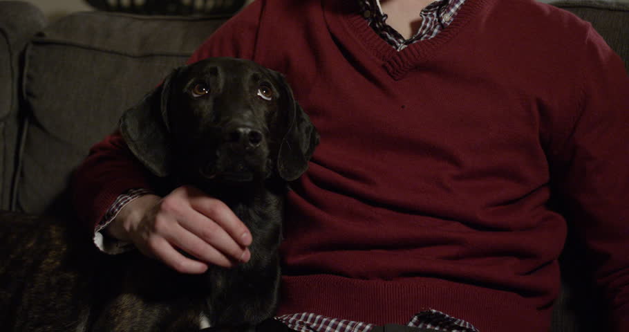 4k00 14man And His Dog Sitting On The Couch Watching Tv And