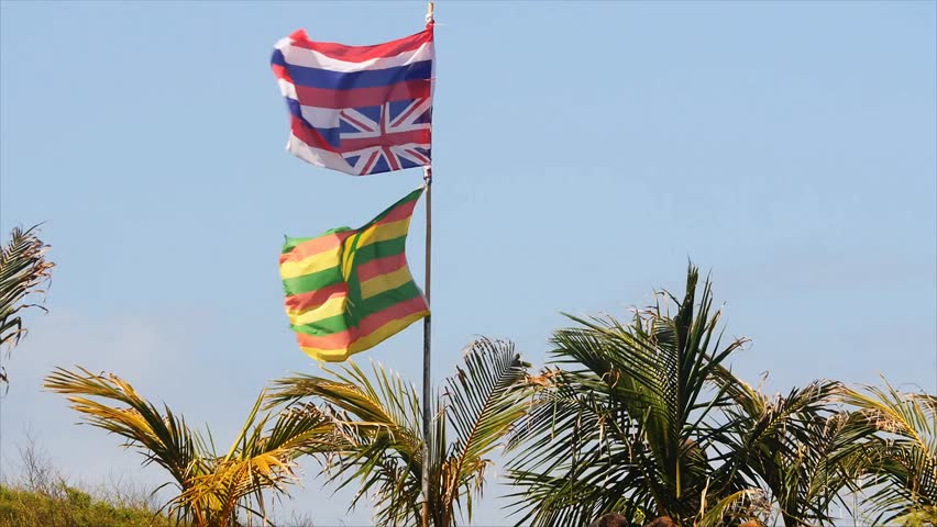 hawaiian-flag-upside-down-stock-footage-video-100-royalty-free