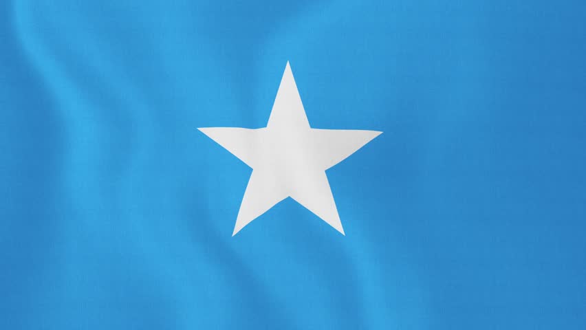 Flying Flag Of SOMALIA | LOOPED | Stock Footage Video 742066 | Shutterstock