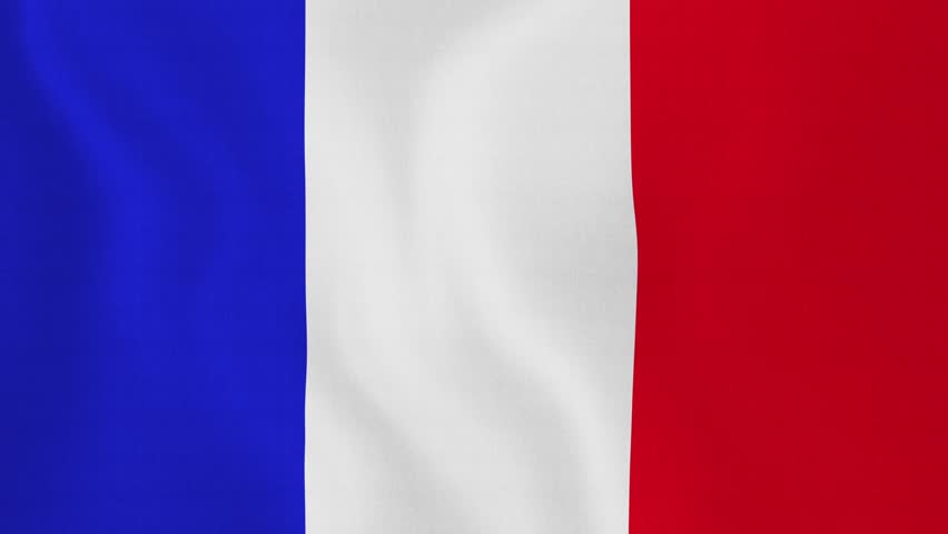 Image result for french flag