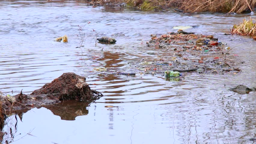 Pond Water Pollution , Water pollution – UTXHF