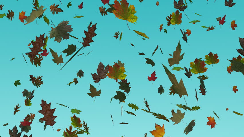 Falling Leaves Loopable Background. High Quality Animated Background Of