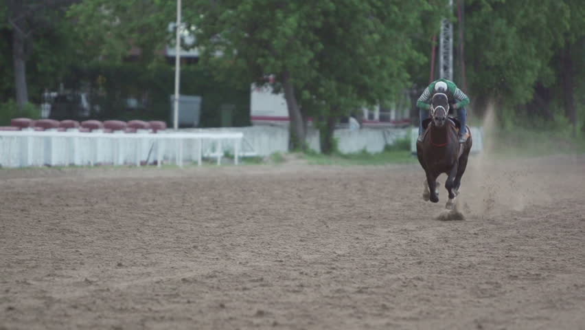 Header of gallop