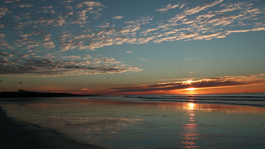 Birds Take Flight At Sunrise Stock Footage Video 100 Royalty Free Birds Take Flight At Sunrise Taken The Northern Tip Of Cherry Grove Beach Near Myrtle Sc There Is A Dramatic Sky With Spotted Clouds Against