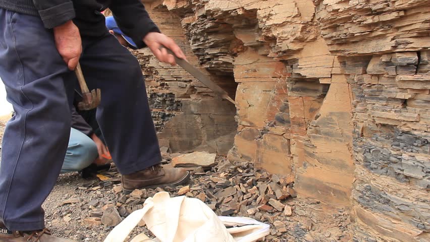 Paleontology Dig Fossil Excavation And Extraction. Paleontology Using A ...