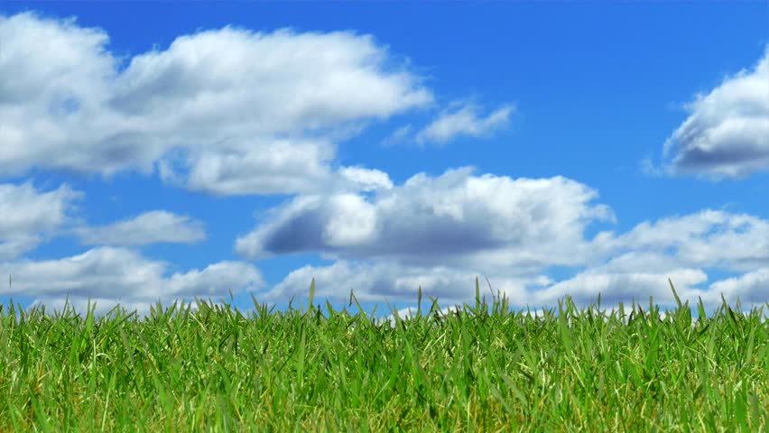 Grass To Blue Sky Panning Horizon, Perfect Outdoor Background. This Is ...