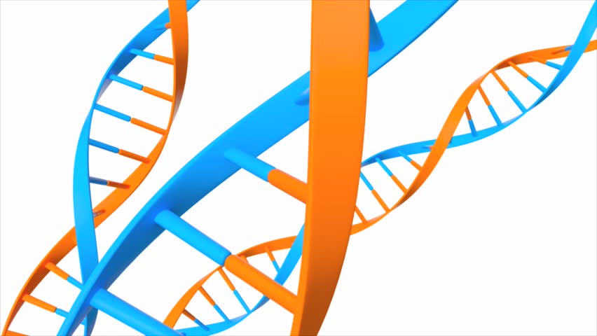 Genetic code animation information